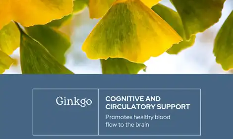 Is Ginkgo Biloba Leaf Extract Effective for Blood Circulation?